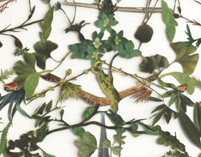 kirsten kindler ada gallery richmond